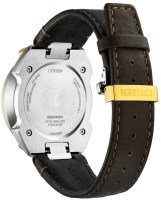 citizen-bullhead 2c